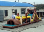 Inflatable sport game