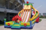 Big inflatable slide