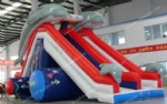 Dolphin inflatable slide
