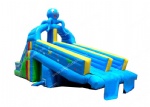 Octopus inflatable water slide