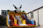 inflatable slide